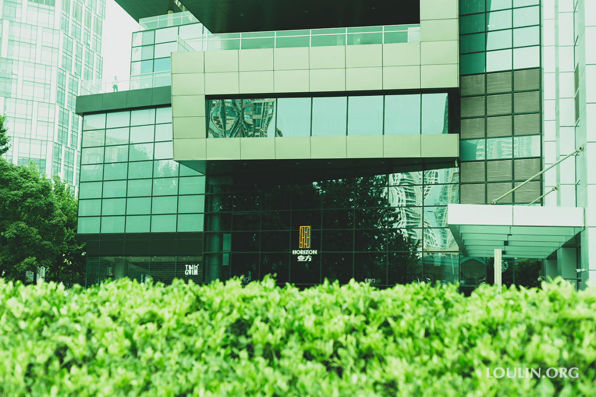 The Alienation of the Unfamiliar: Hubeians and Their Life Experiences – On Stigmatization of the&nbsp;Other