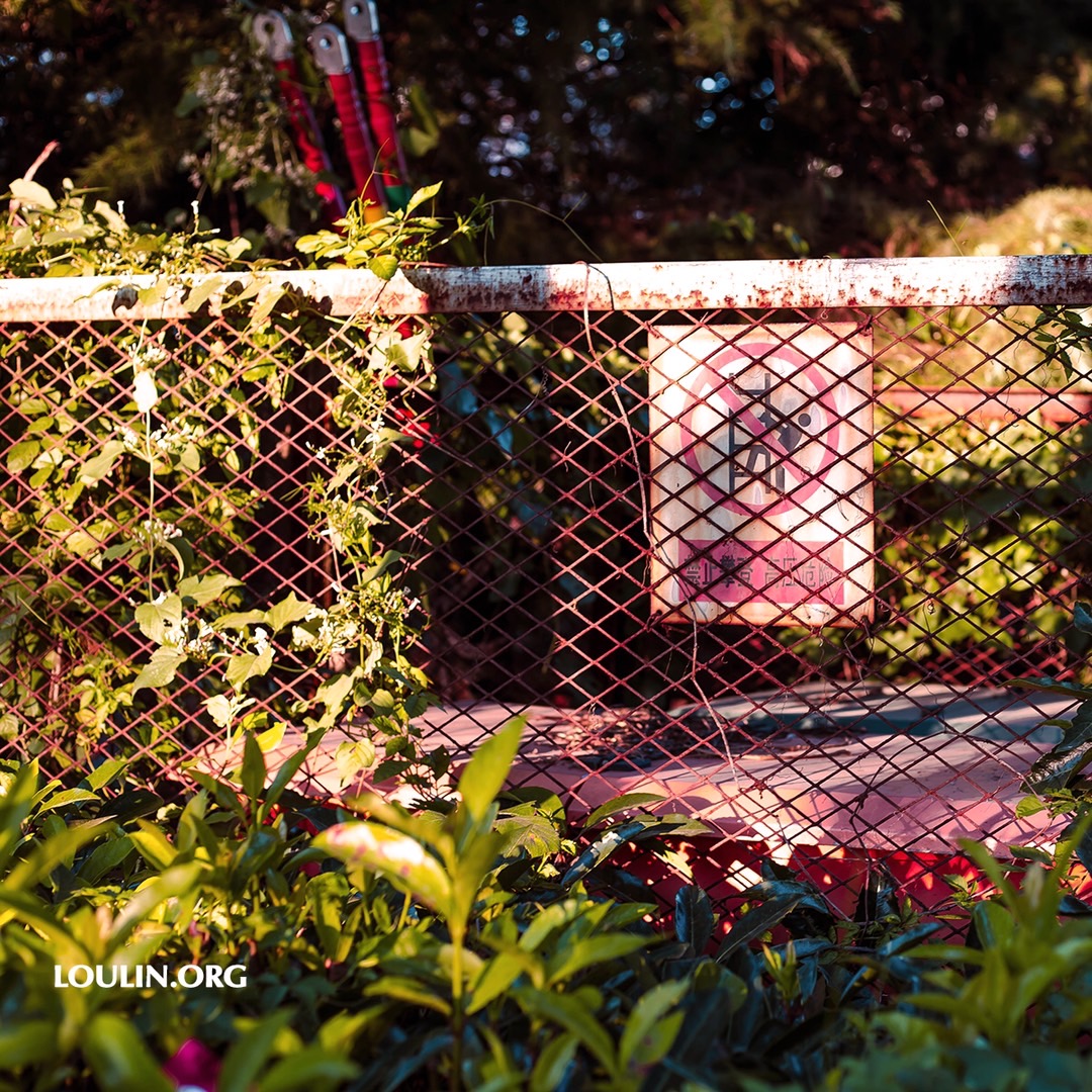 We Take Photographs in Order to&nbsp;Remember