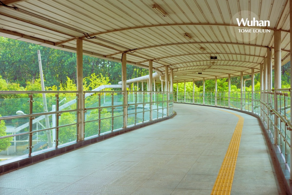 Something Every Individual Tried: Working and&nbsp;Education