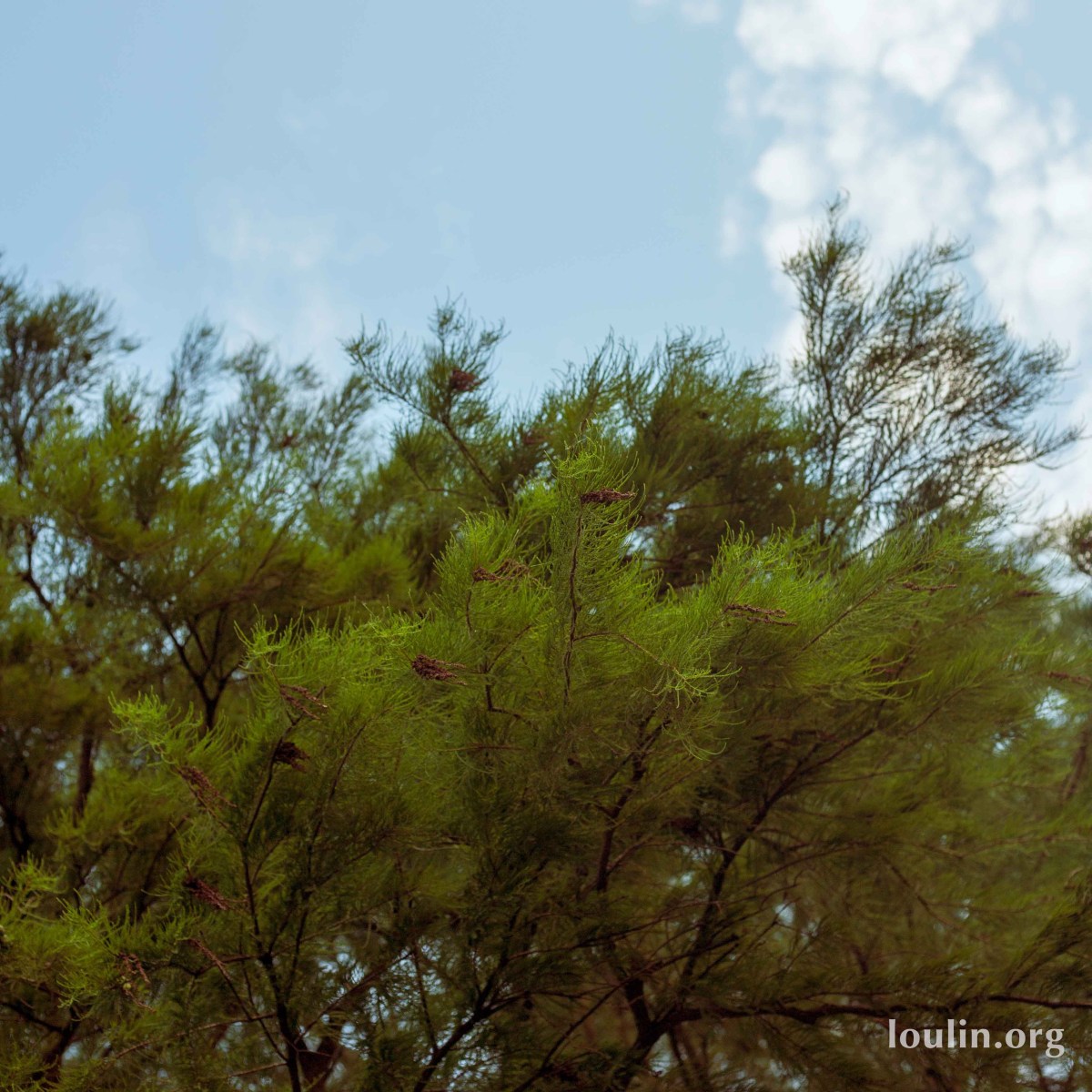 Going to The&nbsp;Mountains