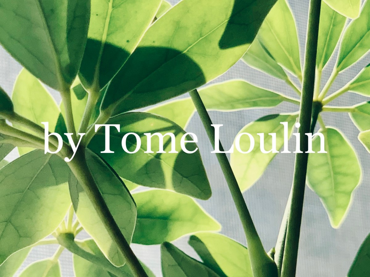 An Essay I&nbsp;Wrote