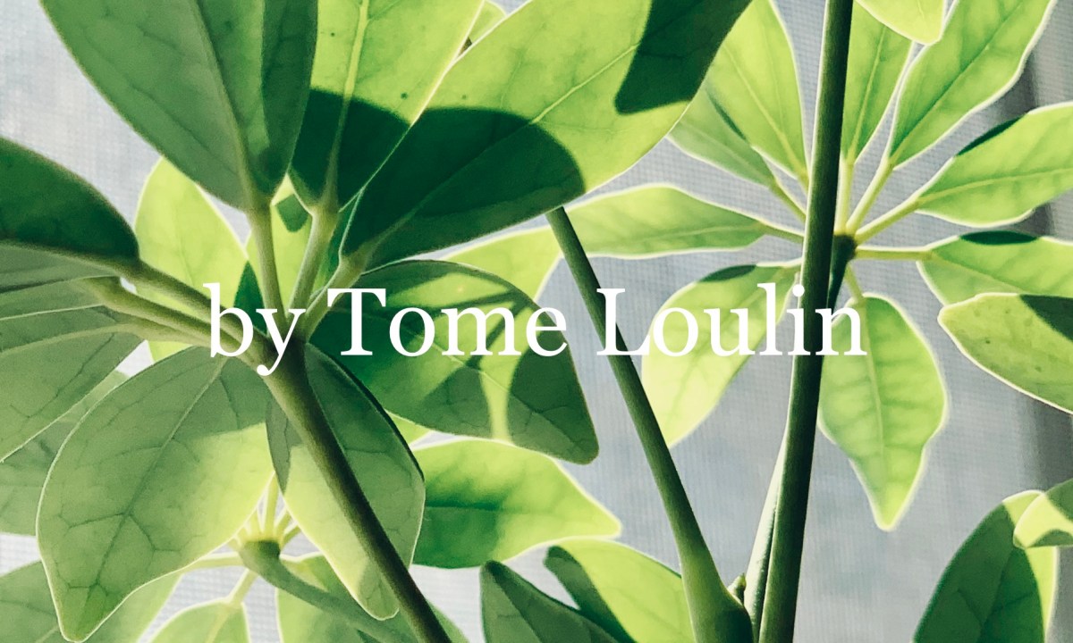 An Essay I&nbsp;Wrote