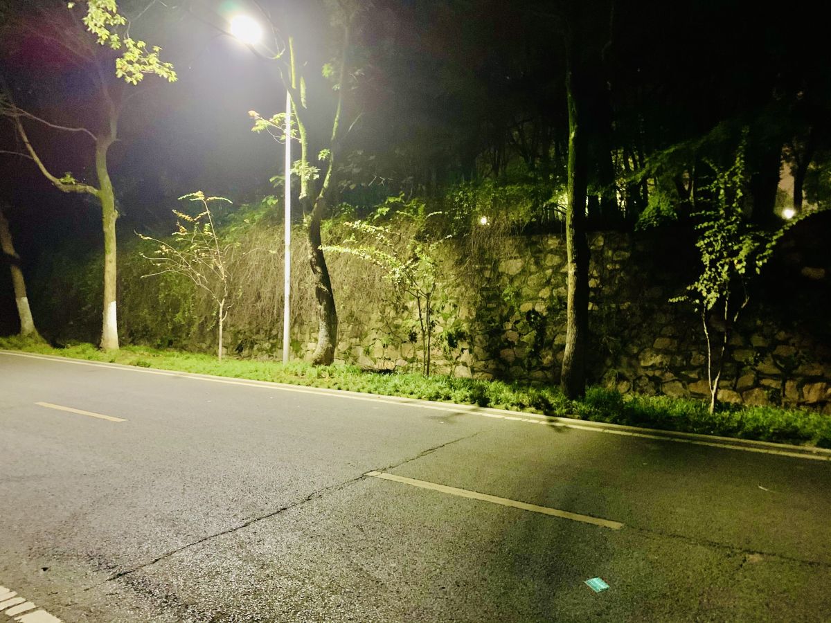 In A Misty Late Autumn&nbsp;Night