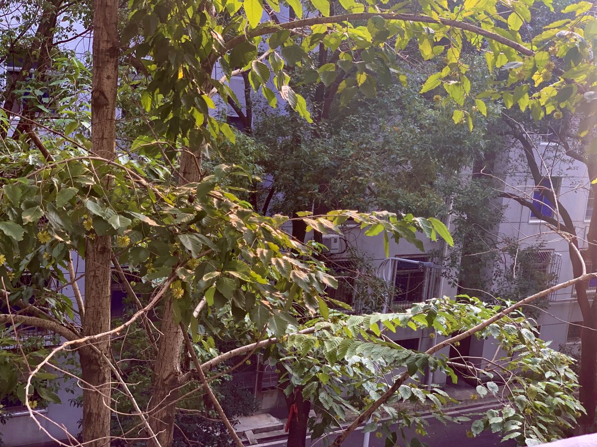 Looking from the&nbsp;Runway