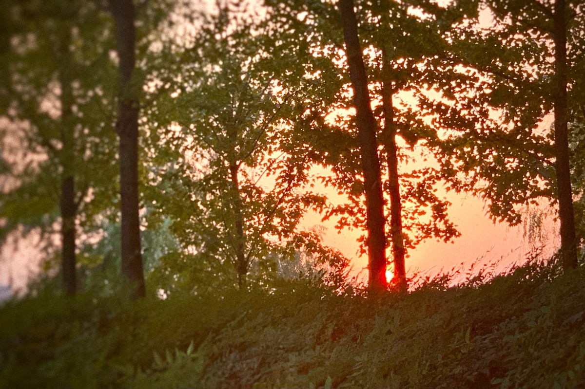 Remembering the Unrememberable