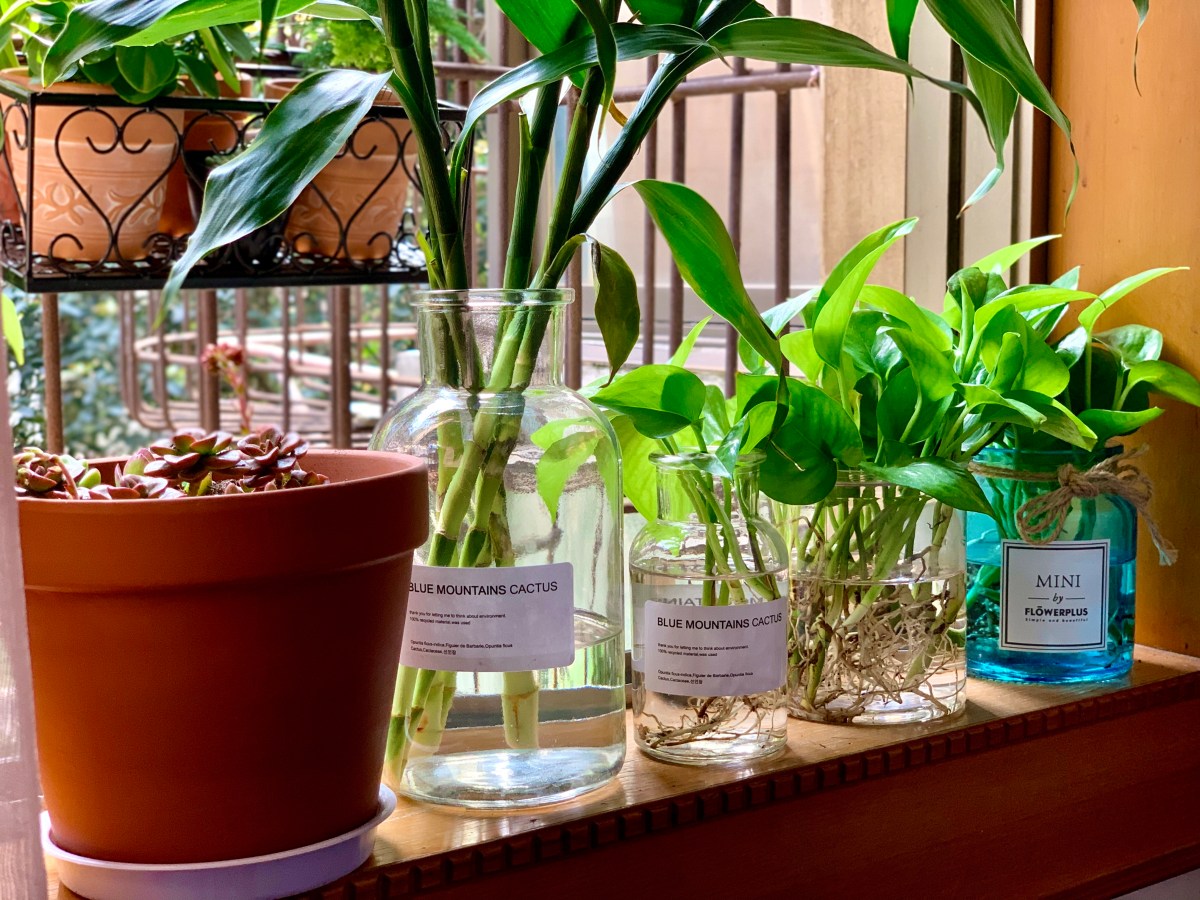 On Self-emancipation